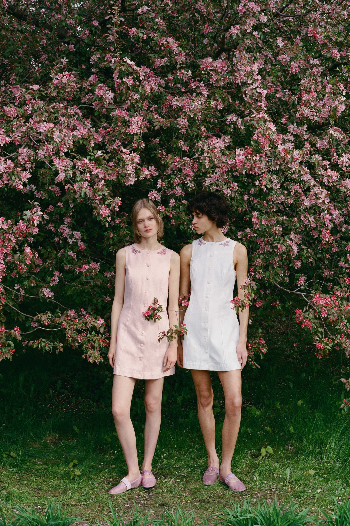 LIGHT PINK
