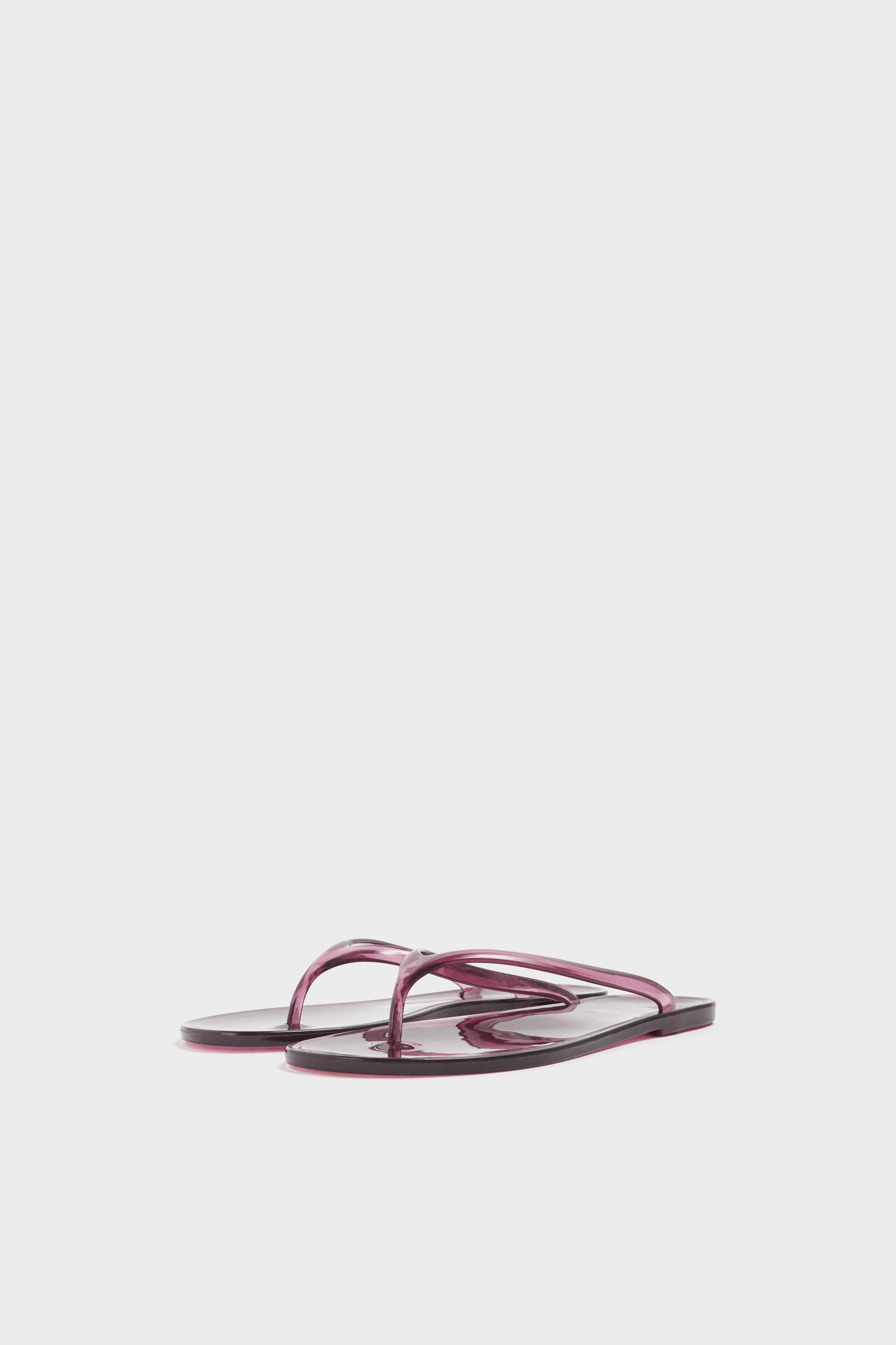 WINE COLOR