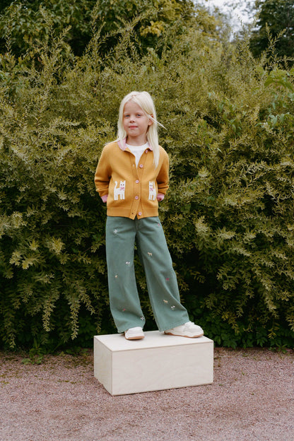 OCHRE