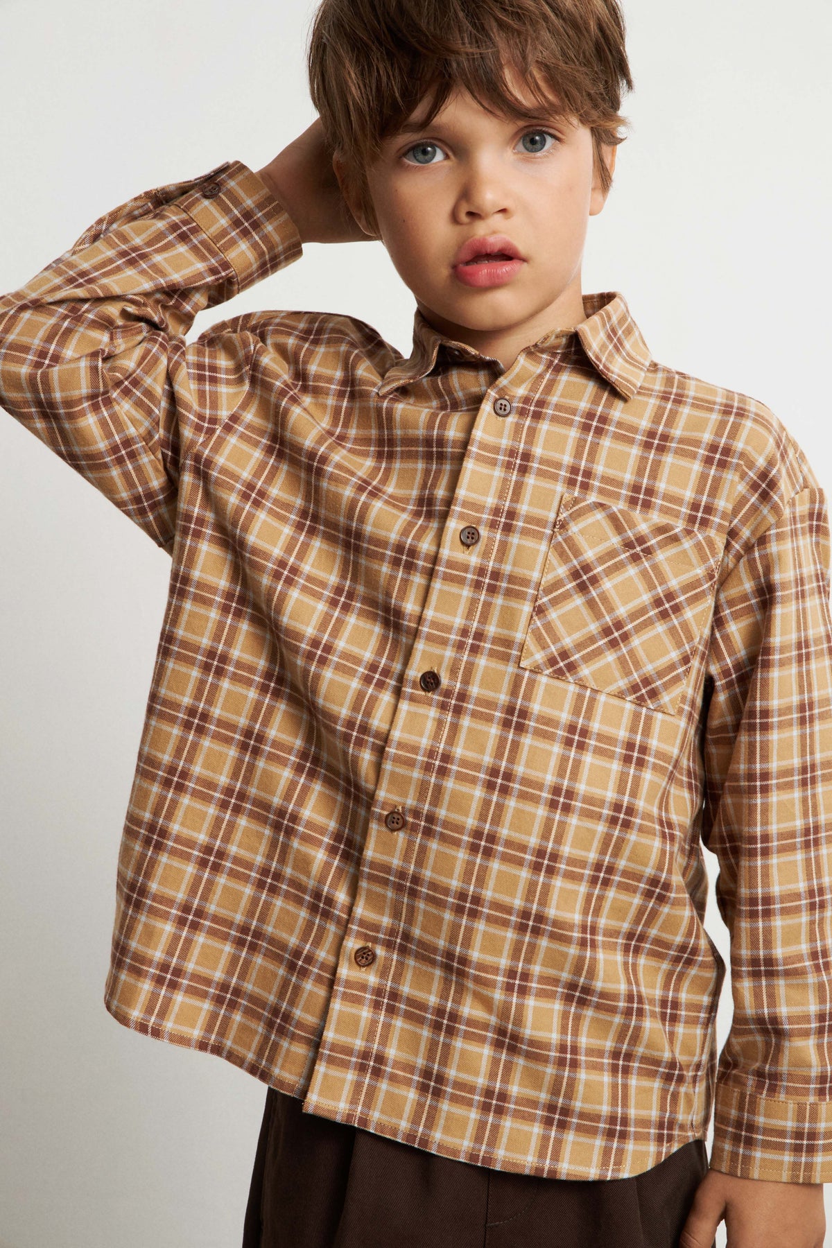 BEIGE/BROWN